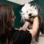 Same-day appointments, 24/7 virtual care, and all the ear scritches your pups and cats can handle. Juno Veterinary is exceptional vet care for your pets, because they—and you—deserve it. Same-day appointments, 24/7 virtual care, and all the ear scritches your pups and cats can handle. Juno Veterinary is exceptional vet care for your pets, because they—and you—deserve it.