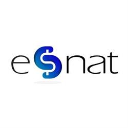 Esnat 2000 Financial Services Inc
