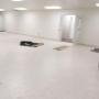 Flooring installation, services & sales.
Lifetime warranty on most products.
Wholesale prices Guaranteed Installations
(236) 628-1910 Flooring installation, services & sales.
Lifetime warranty on most products.
Wholesale prices Guaranteed Installations
(236) 628-1910