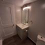 Vanity and toilet. Vanity and toilet.