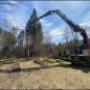 Great Lakes Tree and Crane Service in Sault Ste. Marie, Ontario offers the best tree hauling and cleanup service. Our team ensures efficient tree removal, stump grinding, and cleanup using advanced equipment for residential and commercial needs. Great Lakes Tree and Crane Service in Sault Ste. Marie, Ontario offers the best tree hauling and cleanup service. Our team ensures efficient tree removal, stump grinding, and cleanup using advanced equipment for residential and commercial needs.