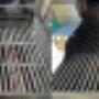 BBQ Cleaning in Vancouver, North Vancouver, West Vancouver, Burnaby, Richmond, Surrey, Coquitlam, Langley. BBQ Cleaning in Vancouver, North Vancouver, West Vancouver, Burnaby, Richmond, Surrey, Coquitlam, Langley.
