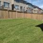 From simple lawn care to stone interlocking. Emerald Grove Landscaping is dedicated to providing high quality landscaping and property maintenance for affordable prices.
You can reach us at
905-922-0696
Weekdays 9:00-6:00
Enter into the Emerald G From simple lawn care to stone interlocking. Emerald Grove Landscaping is dedicated to providing high quality landscaping and property maintenance for affordable prices.
You can reach us at
905-922-0696
Weekdays 9:00-6:00
Enter into the Emerald G