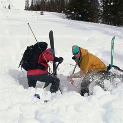 Colwest Alpine Adventures