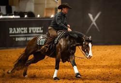Beckley Reining