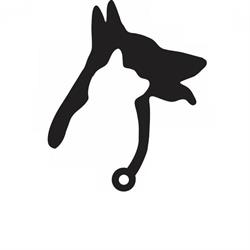 Horizon Veterinary Services