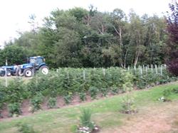 Ferme alain brissette inc