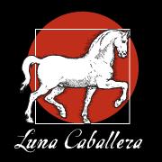 Luna Caballera, les Rendez-Vous Magiques des Appalaches