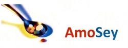 AmoSey Inc.