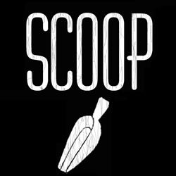 Scoop Organic Dried Fruits