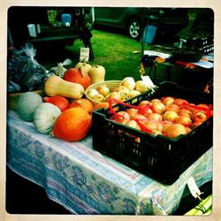 Living Soils Farm