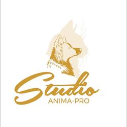 Studio Anima-Pro Brossard