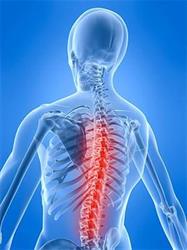 Markham Chiropractic