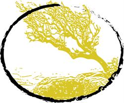 Sunshine Coast Counselling