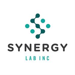 Synergy Lab