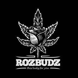 Rozbudz