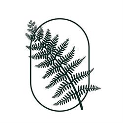 Evergreen MD Aesthetics