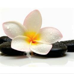 Bortown Massage And Wellness