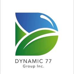 Dynamic 77 Group Inc.