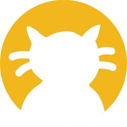 4Cats Arts Studio West Oakville