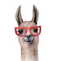 Little Llama Montessori Academy