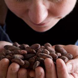 LaRouère fabrique de chocolat