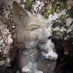Fox Flowers on Fetters