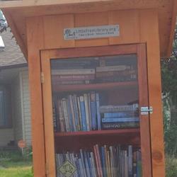 Little Free Library 27816