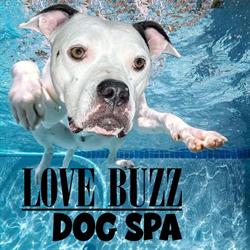 Love Buzz Dog Spa