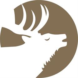 The Lazy Elk