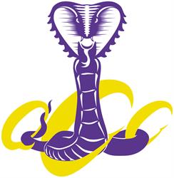 Quebec Cobras Cheerleading