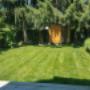 After: A thriving lawn. After: A thriving lawn.