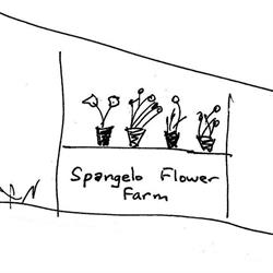 Spangelo Flower Farm