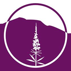 Fireweed Hub
