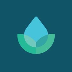 Centered on Wellness