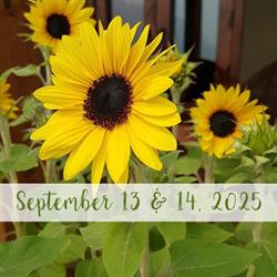 Rock Creek Fall Fair - BC