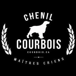 Le Chenil Le Coureur Des Bois