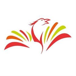 Association Renaissance TCC et AVC Saguenay-Lac-Saint-Jean