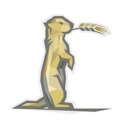 Prairie Dog Wellness - Chiropractic, Laser Therapy & Acupuncture