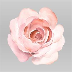 Petals Plus Floral Design