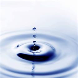 Body Essence Massage Therapy & Wellness