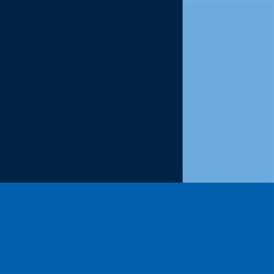 Wildeboer Dellelce LLP