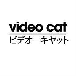 Video Cat