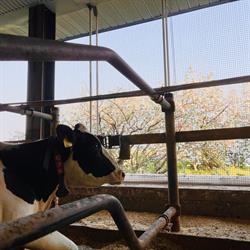 Ferme DEMCA Inc.