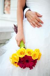Fergus Wedding Showcase