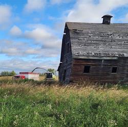 Holtrop Enterprises Custom Farming Ltd.