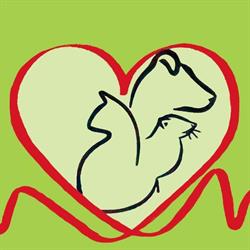 The RAW Edge Pet Health