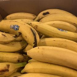 Les produits du monde inc