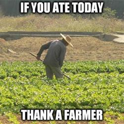 DM Heavenly Farm