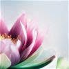 Notes of Praise Massage Therapy
